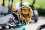CASFGolfTournament-JP7946-min