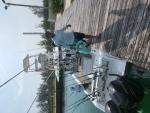 Fish 5