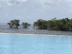 IMG 8878