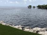 IMG 8883