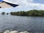 IMG 8886