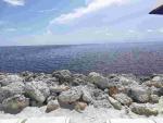 IMG 8891